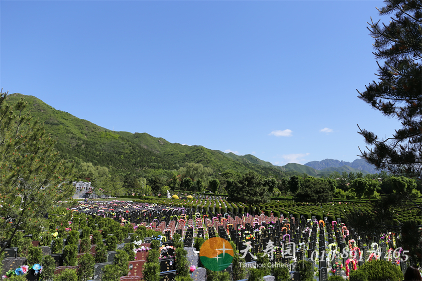 天寿陵园墓区 天寿陵园墓区
