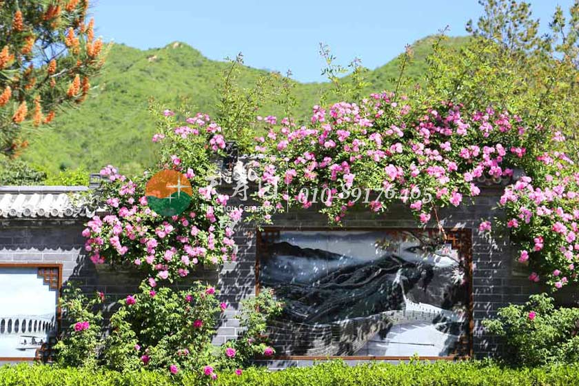 天寿陵园墓区园林化 天寿陵园墓区园林化