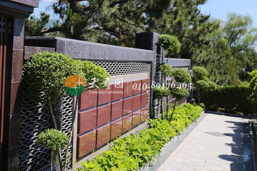 天寿陵园壁葬图 天寿陵园壁葬图