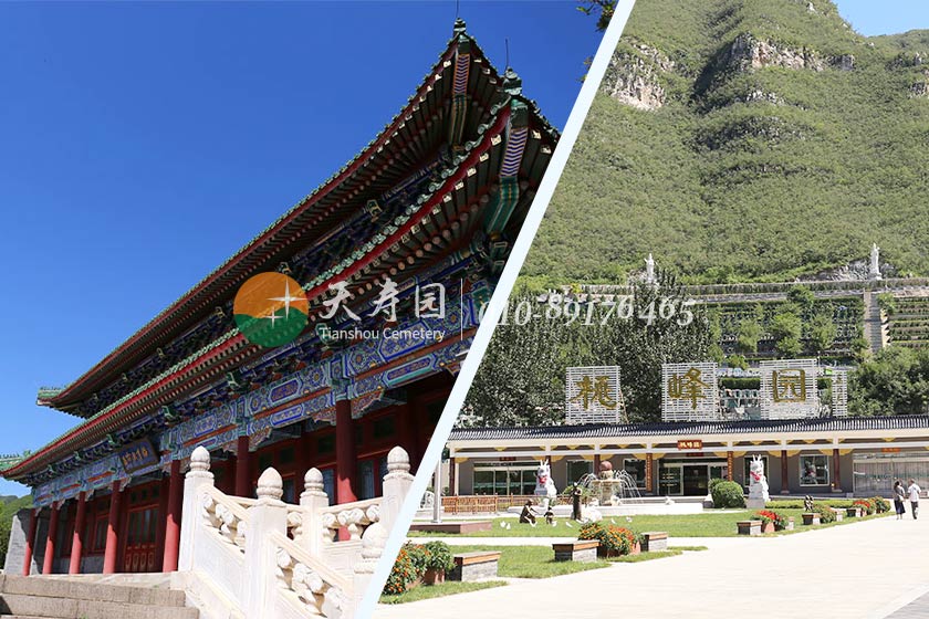 桃峰陵园和天寿陵园环境对比 桃峰陵园和天寿陵园环境对比