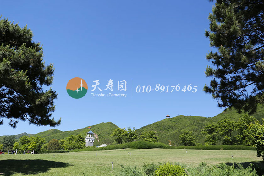 天寿陵园草坪