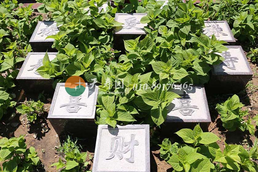 天寿陵园生态葬墓地图