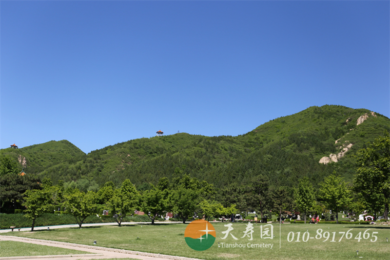 天寿陵园环境 天寿陵园环境