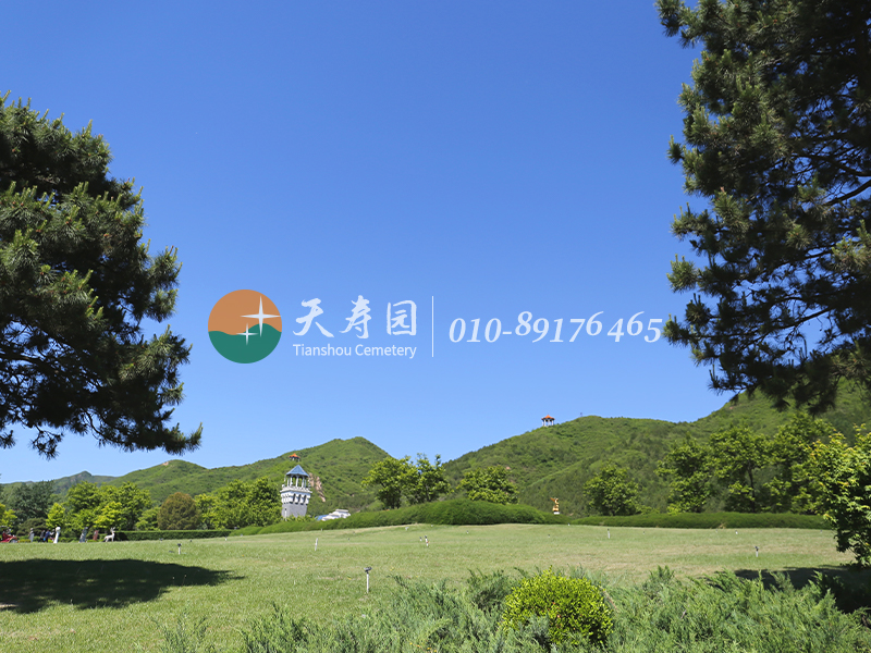 天寿陵园环境 天寿陵园环境