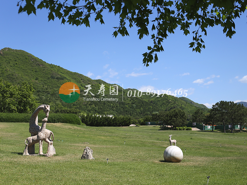 天寿陵园背倚天寿灵山