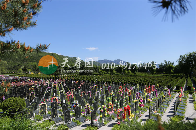 天寿陵园墓区 天寿陵园墓区