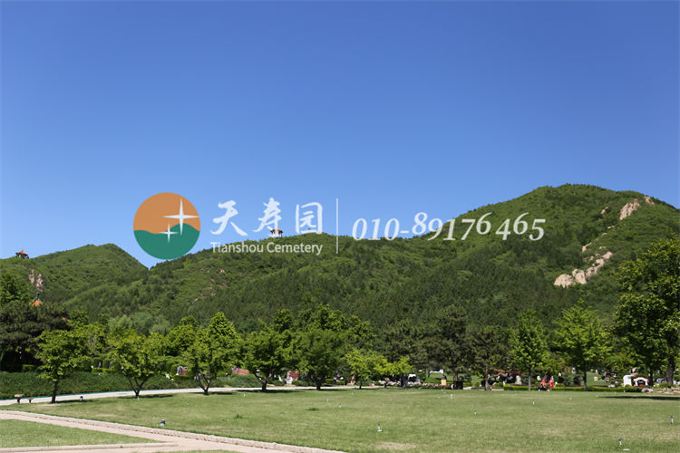 天寿陵园园区环境