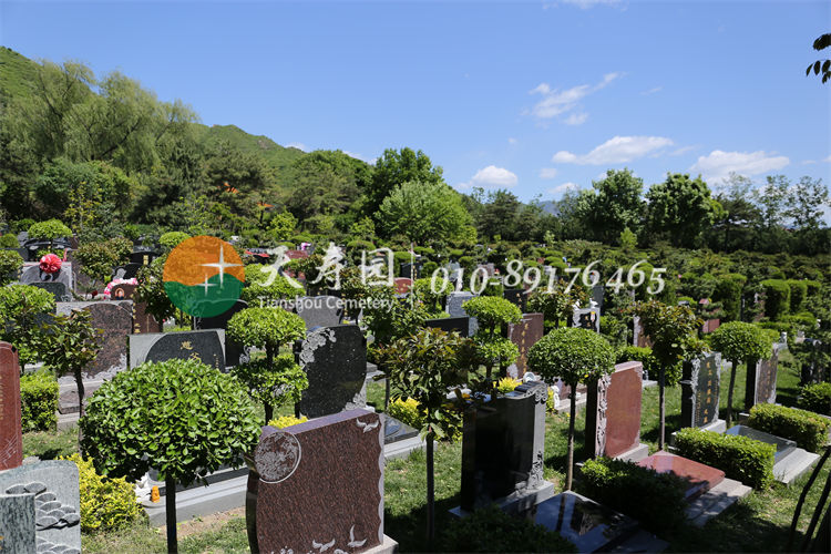 天寿陵园墓区 天寿陵园墓区