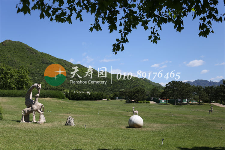 天寿陵园 天寿陵园