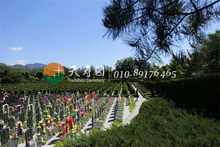 天寿陵园墓区 天寿陵园墓区