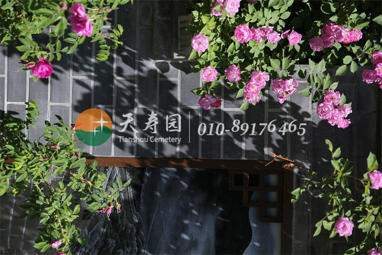 天寿陵园 天寿陵园