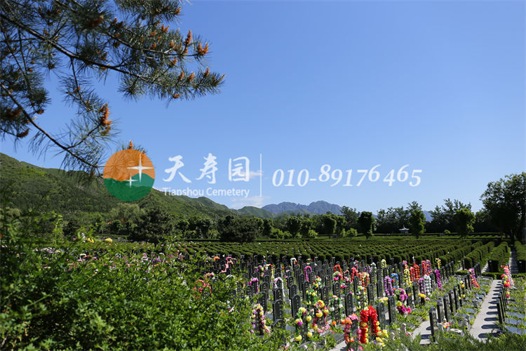 天寿陵园墓区 天寿陵园墓区