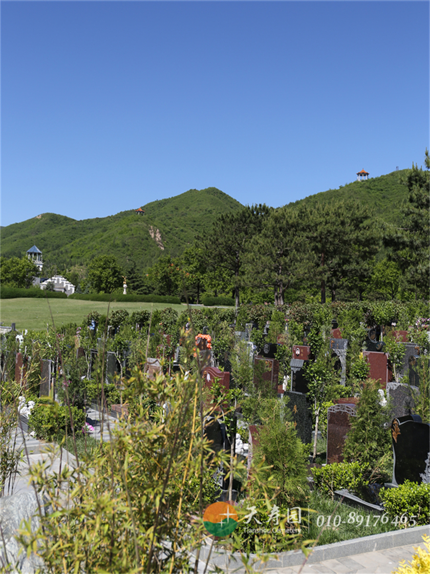 天寿陵园墓区 天寿陵园墓区