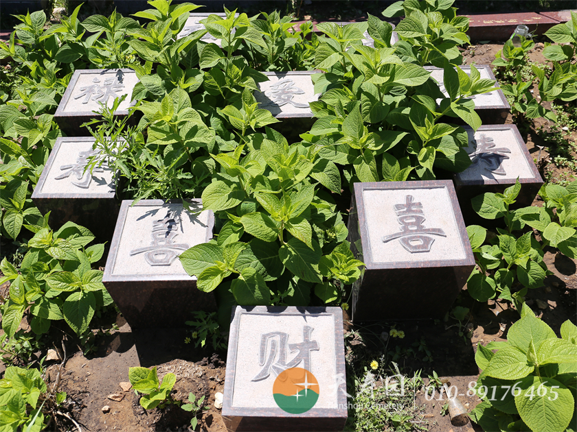 天寿陵园生态葬样式实拍 天寿陵园生态葬样式实拍