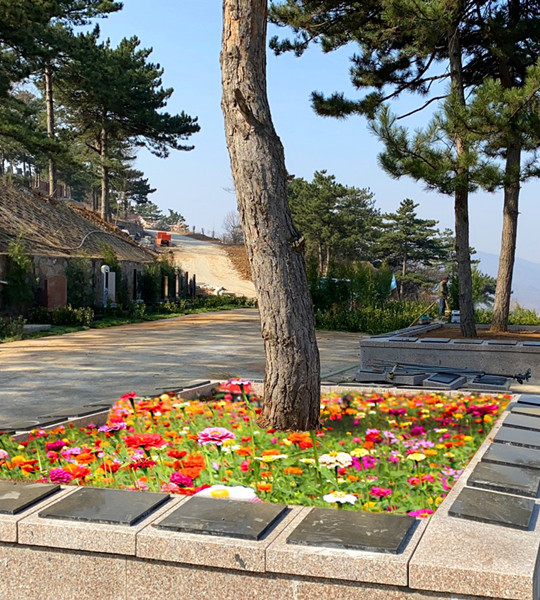 永宁陵园花坛葬 永宁陵园花坛葬
