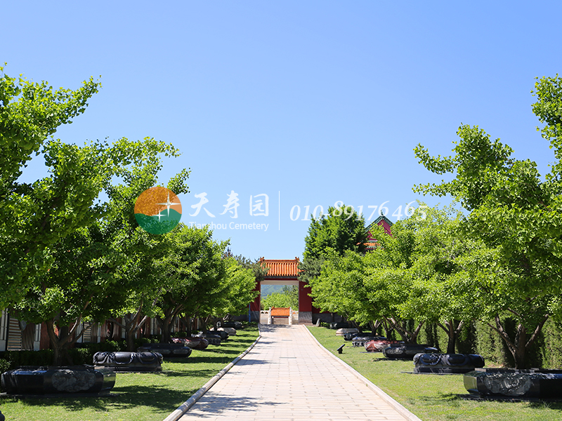 天寿陵园 天寿陵园