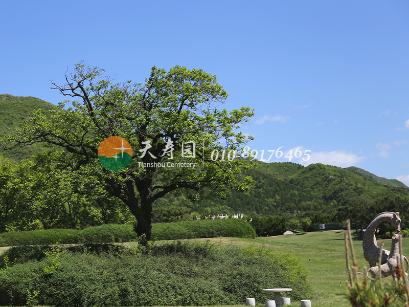 天寿陵园 天寿陵园