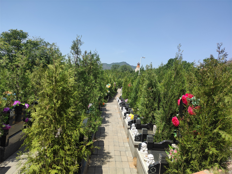 华夏墓地 华夏墓地