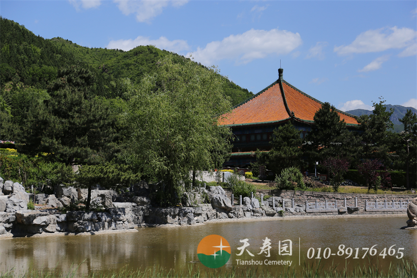 天寿树葬陵园环境 天寿树葬陵园环境