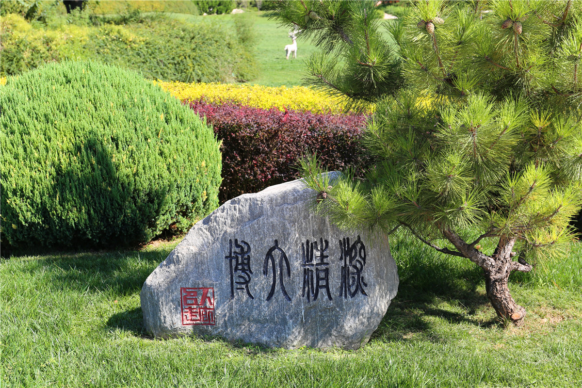 墓地环境 墓地环境