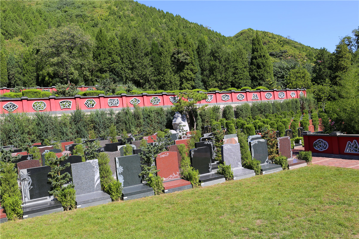 墓地位置选几排几号 墓地位置选几排几号
