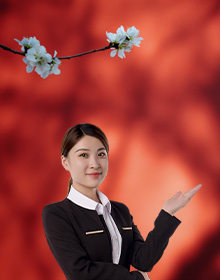 客服专员