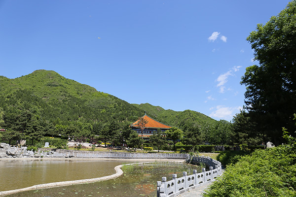 北京周边树葬陵园哪最好？天寿陵园树葬怎么样？什么价位？