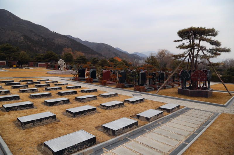 树葬区域 树葬区域