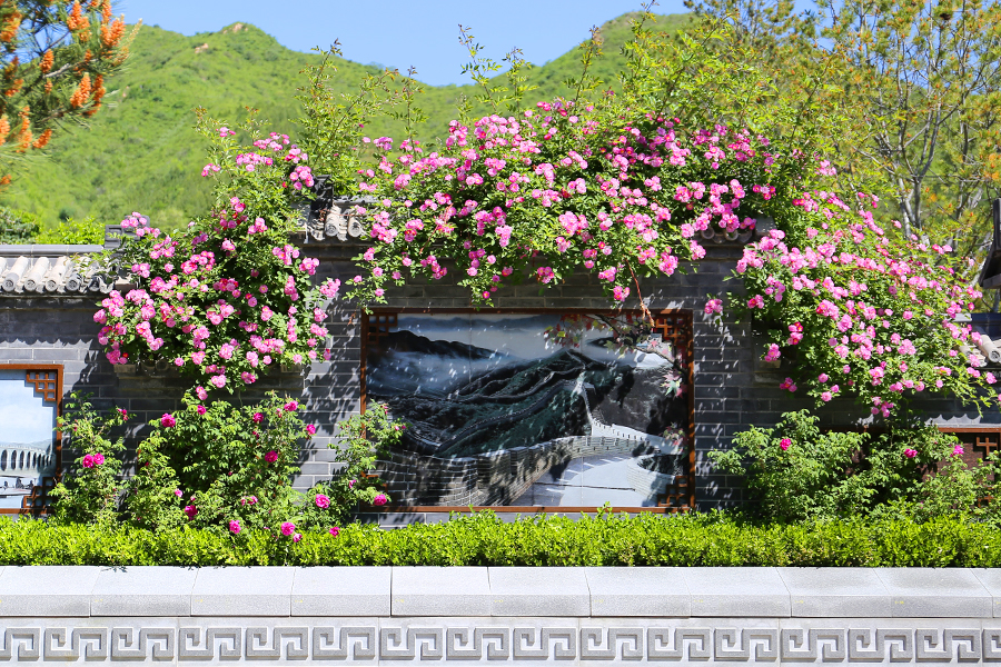 天寿陵园景观 天寿陵园景观