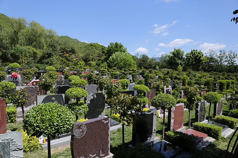 陵园墓区景观