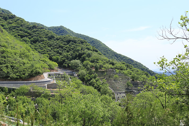 九公山陵园实拍 九公山陵园实拍